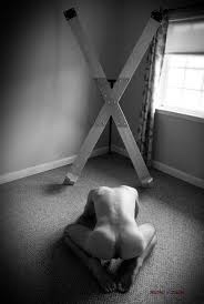 Navigating Honesty and Transparency with your Owner in a Long-Distance TPE&nbsp;Relationship